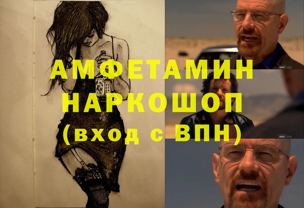 ешки Алексин