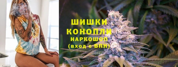 ешки Алексин