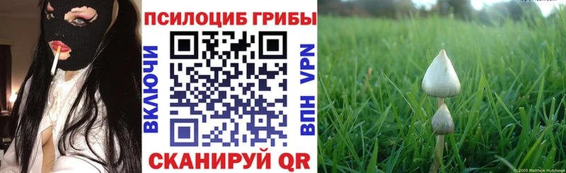 KRAKEN tor  Шелехов  Галлюциногенные грибы Magic Shrooms  наркошоп 